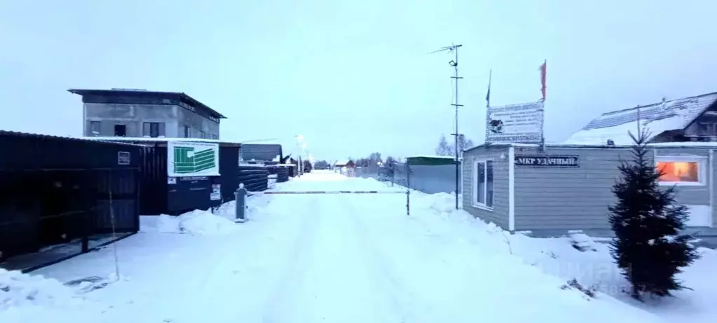 Участок в Новосибирская область, Новосибирский район, Ярковский ... - Фото 1