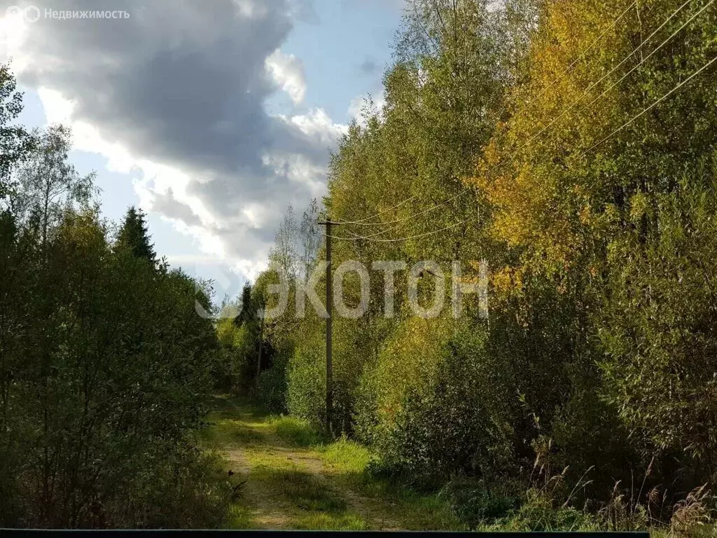 Участок в Кусинское сельское поселение, садоводческое товарищество ... - Фото 2