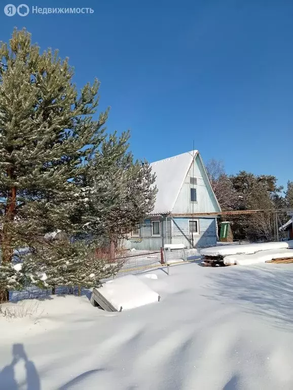 Дом в село Янишполе, Лесная улица (36.9 м) - Фото 1