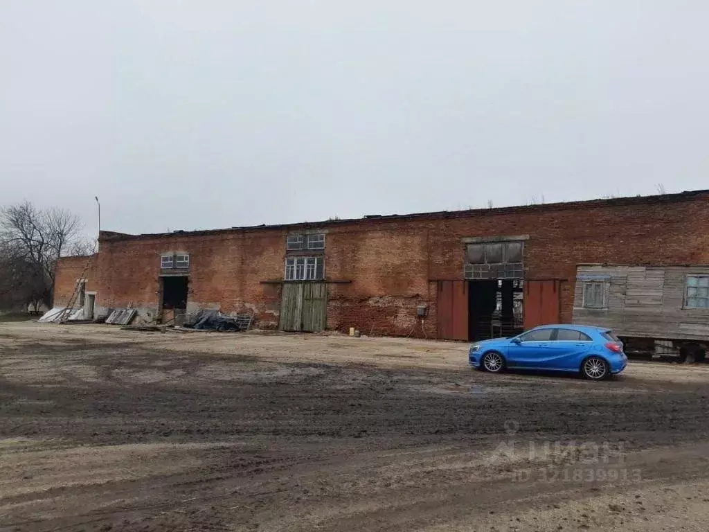 Участок в Краснодарский край, Динская ст-ца ул. Хлеборобная, 50А ... - Фото 1