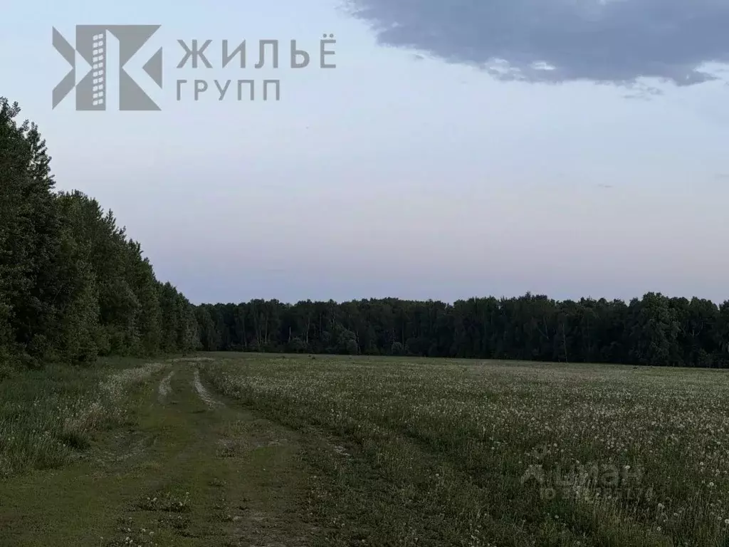 Участок в Татарстан, Лаишевский район, с. Кирби ул. Татарстан (500.0 ... - Фото 1