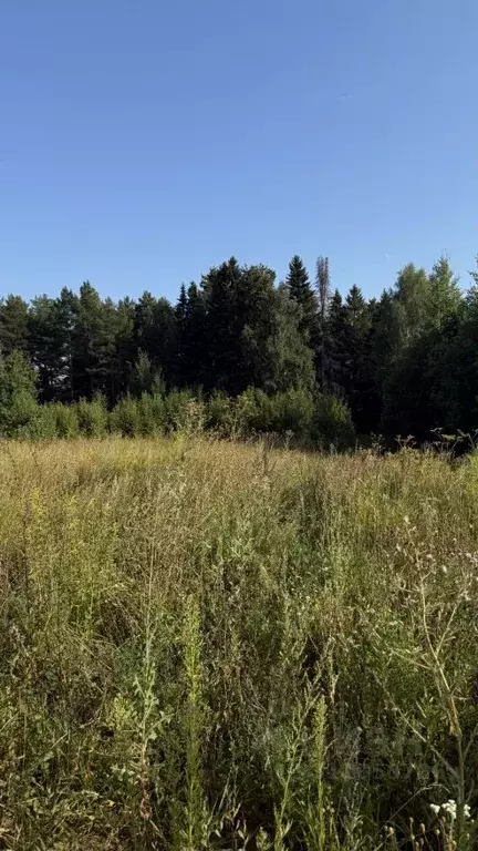 Участок в Удмуртия, Завьяловский район, д. Каменное, Зеленодолье кп ... - Фото 2