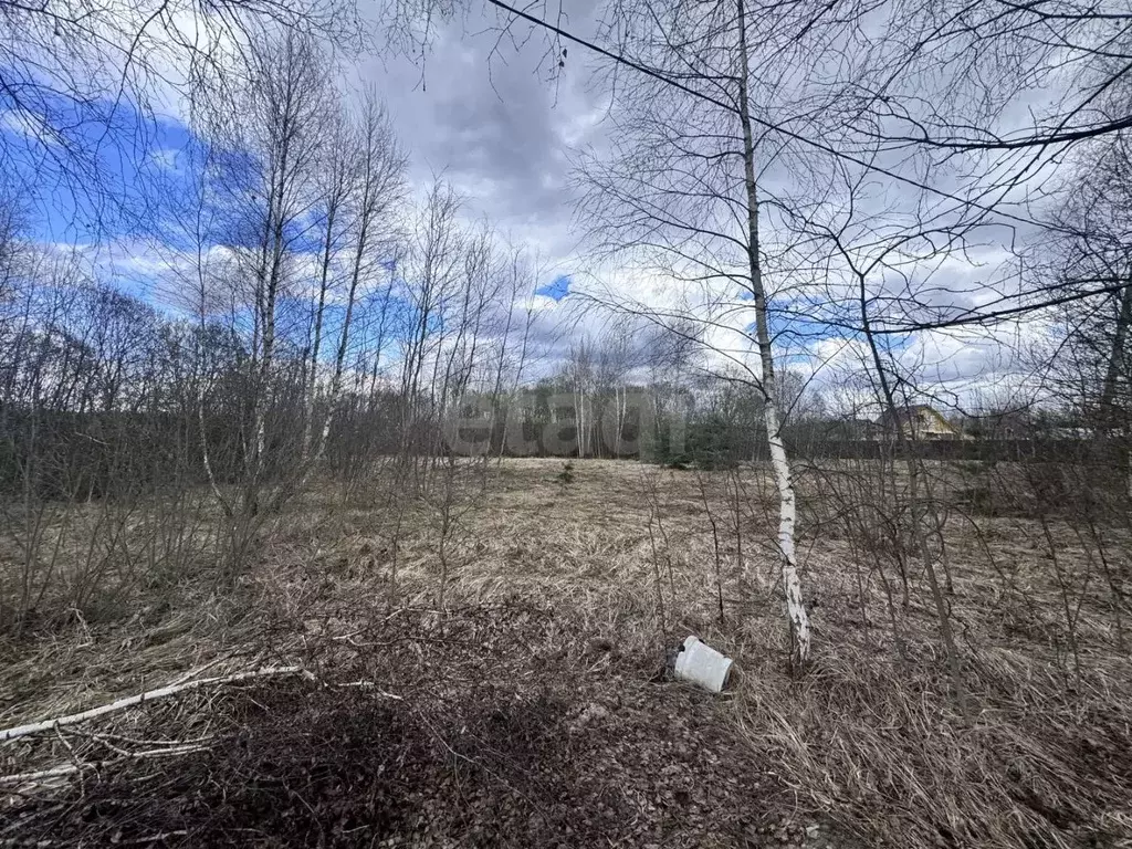 Участок в Московская область, Коломна городской округ, с. Нижнее ... - Фото 2