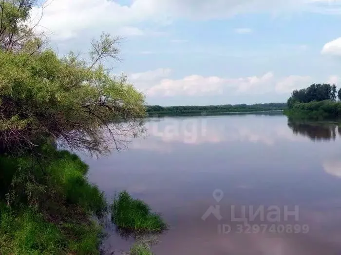 Участок в Тюменская область, Тюменский муниципальный округ, с. Чикча, ... - Фото 1