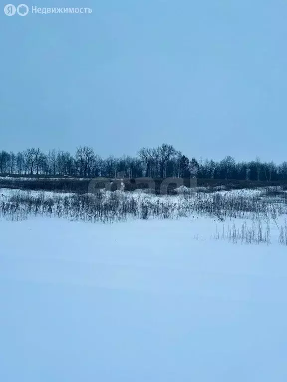 Участок в Калининградская область, Гвардейский муниципальный округ, ... - Фото 1