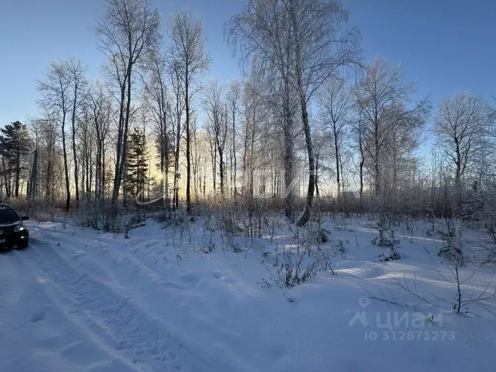 Участок в Тюменская область, Тюмень Малинка садовое товарищество, ул. ... - Фото 1