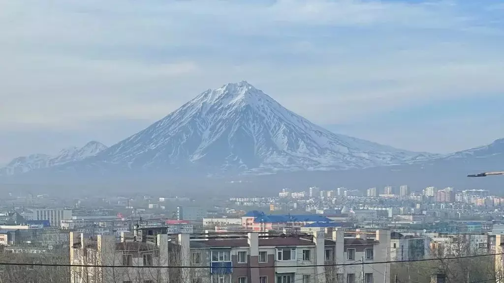 1-к кв. Камчатский край, Петропавловск-Камчатский ул. Автомобилистов, ... - Фото 0