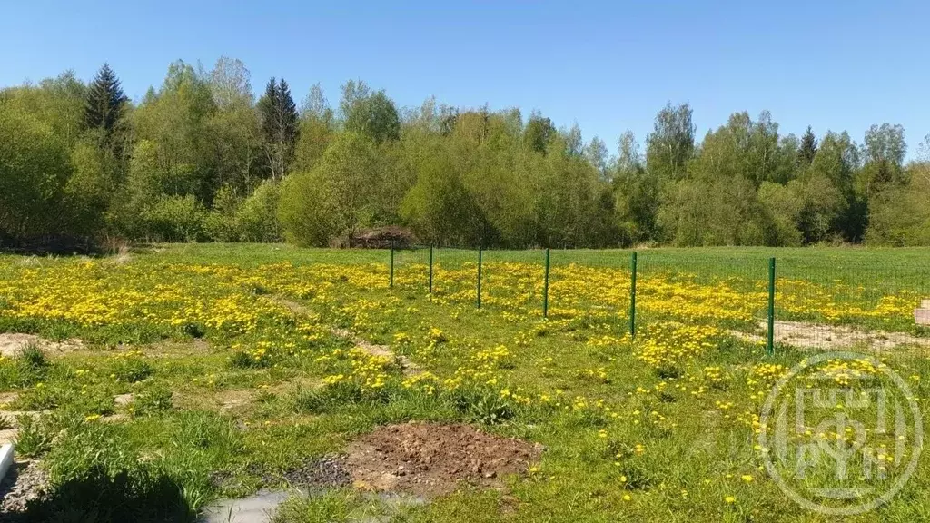 Участок в Ленинградская область, Тосненский район, Любанское городское ... - Фото 1