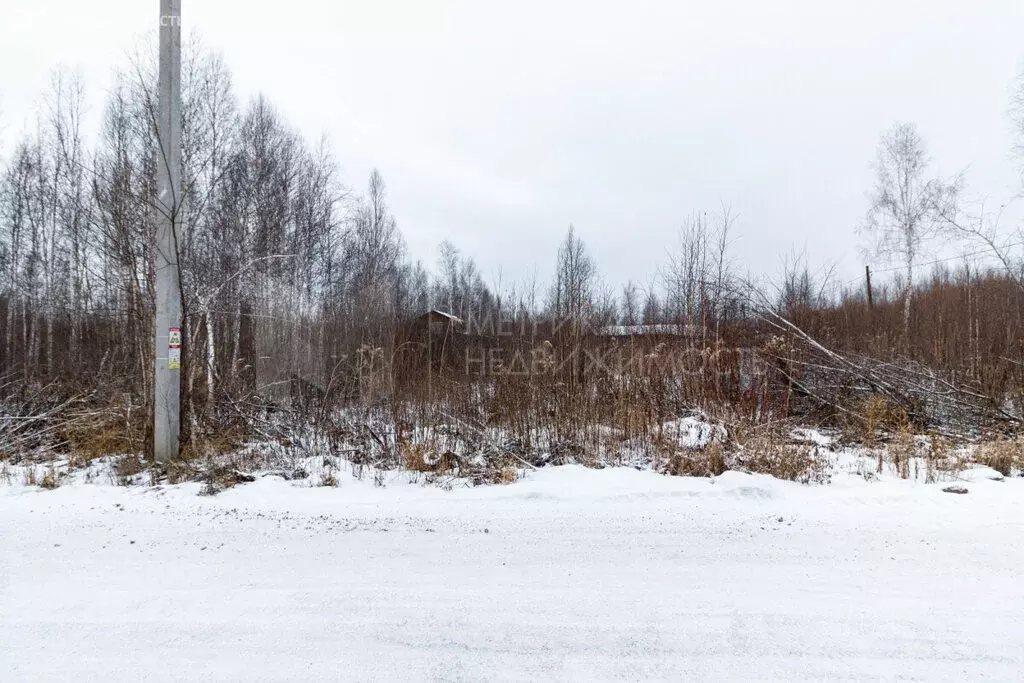 Участок в Нижнетавдинский район, СНТ Сочинские, 1-я линия (11.34 м) - Фото 1