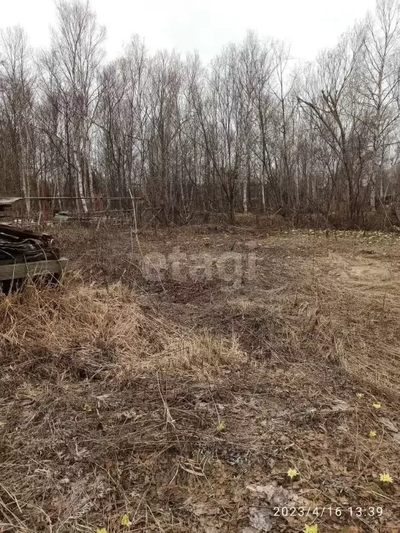 Участок в Сахалинская область, Южно-Сахалинск Надежда СНТ, ул. Лесная, ... - Фото 0