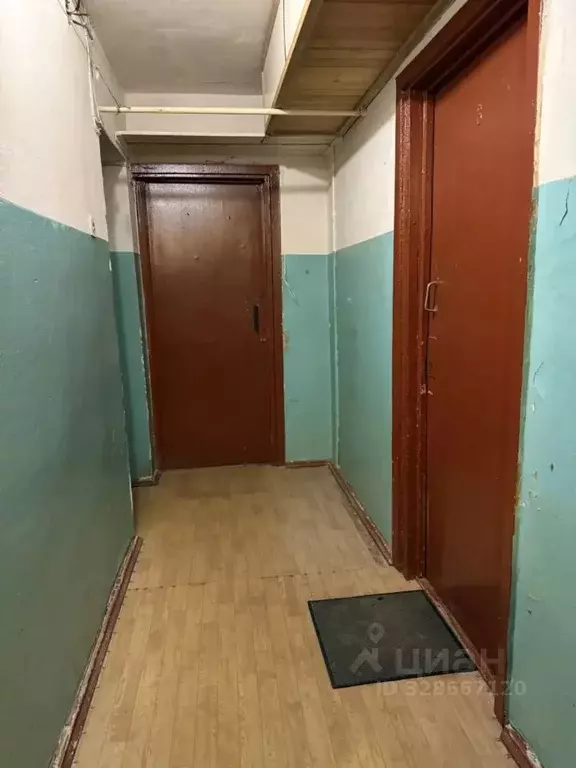 Комната Новгородская область, Великий Новгород ул. Щусева, 10к1 (18.1 ... - Фото 2