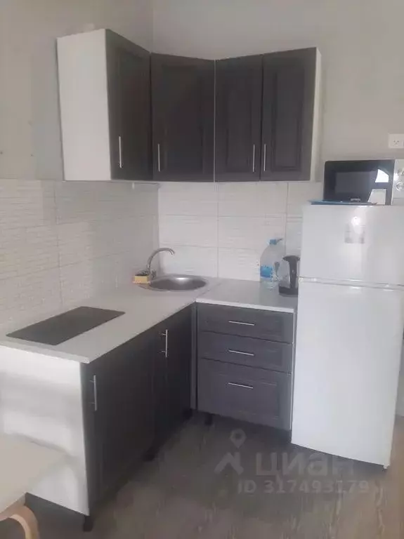 Студия Краснодарский край, Геленджик Крымская ул., 22к1 (29.0 м) - Фото 1