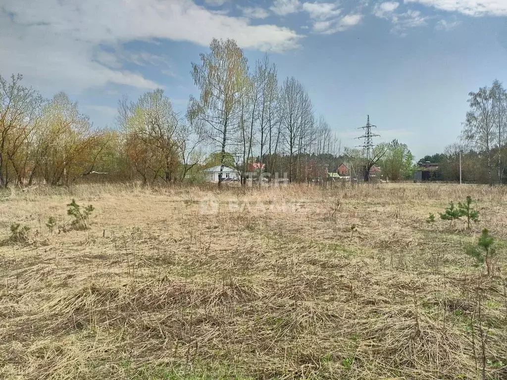 Участок в Московская область, Ногинск Богородский городской округ, ул. ... - Фото 2