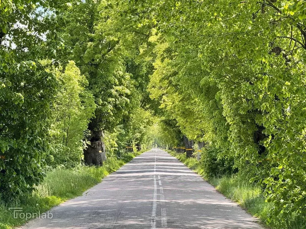 Участок в Калининградская область, Гурьевский муниципальный округ, ... - Фото 2