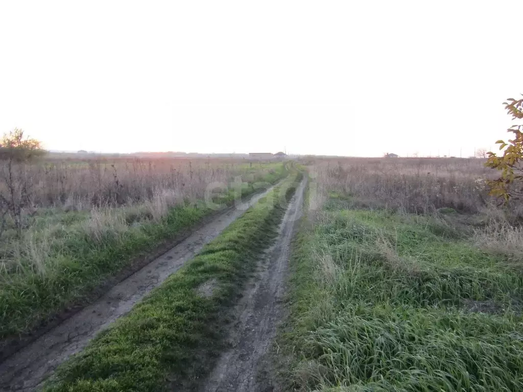 Участок в Ставропольский край, Предгорный муниципальный округ, с. Юца  ... - Фото 1