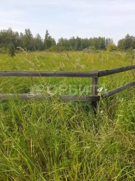 Участок в Тюменская область, Ялуторовский район, Тугарское ДНТ  (20.0 ... - Фото 0
