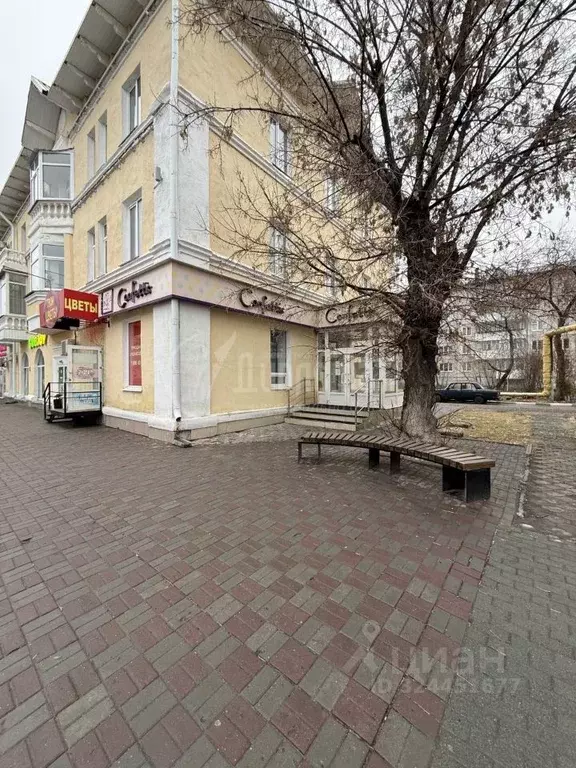 Торговая площадь в Курганская область, Курган ул. Ленина, 26 (57 м) - Фото 1