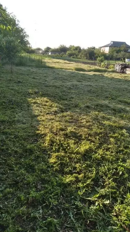 Участок в Чалтырь, Синявская улица (11 м) - Фото 1