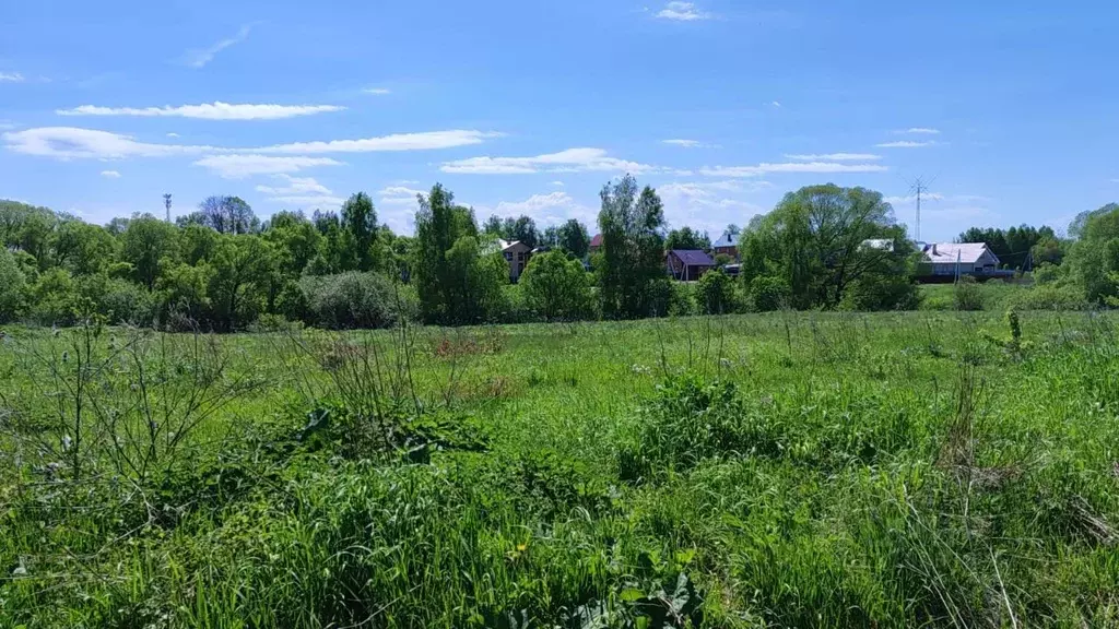 Участок в Московская область, Домодедово городской округ, д. Дебречено ... - Фото 0