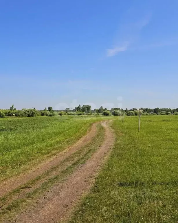 Участок в Тюменская область, Тюменский муниципальный округ, Каменское ... - Фото 2