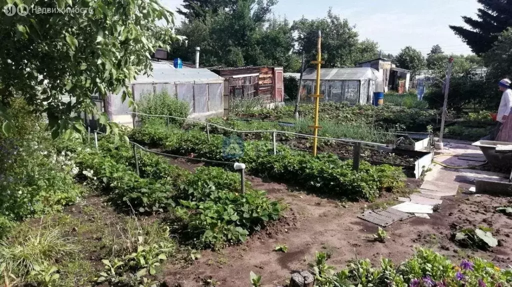 Дом в Тюменский район, СНТ Дружба, Кедровая улица (21 м) - Фото 1