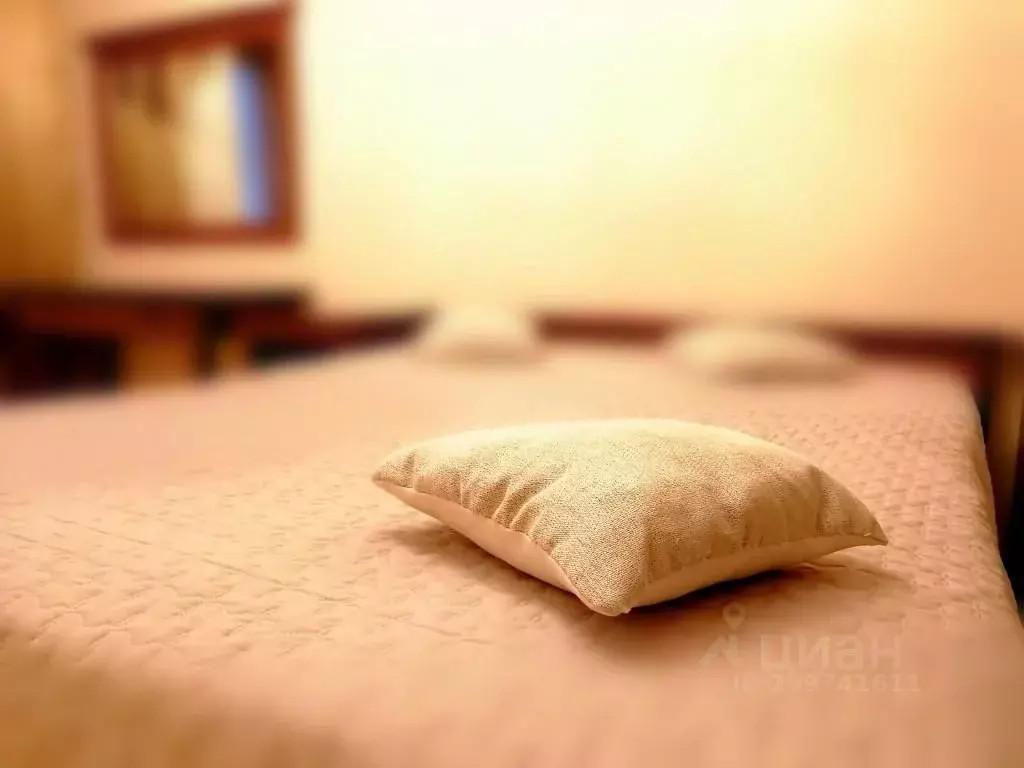 1-к кв. Московская область, Балашиха Первомайская ул., 9 (52.0 м) - Фото 1