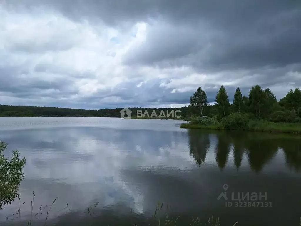 Участок в Калужская область, Ферзиковский муниципальный округ, ... - Фото 1