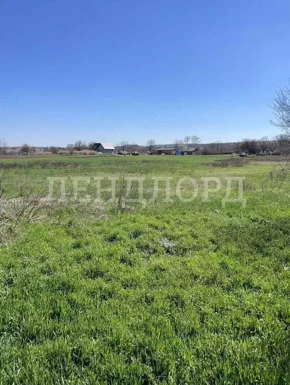 Участок в Ростовская область, Родионово-Несветайский район, ... - Фото 0