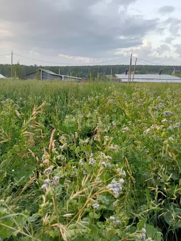 дом в свердловская область, каменский городской округ, пос. кодинский . - Фото 1