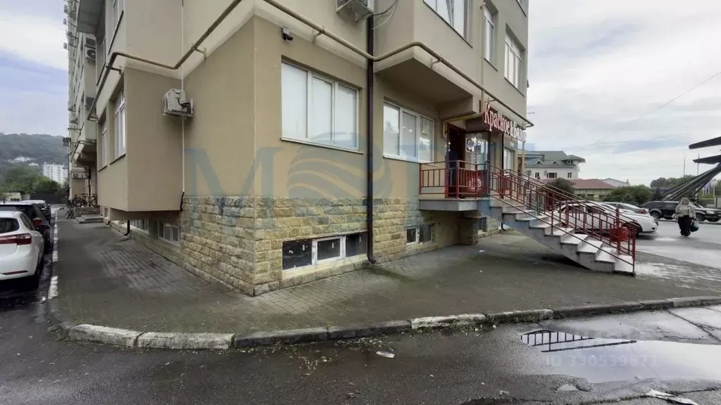 Помещение свободного назначения в Краснодарский край, Сочи ул. ... - Фото 1
