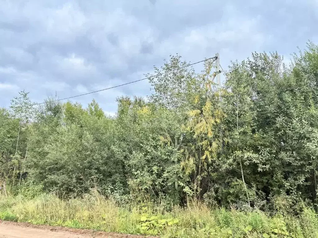 Участок в Архангельская область, Котлас ул. Таежная, 31 (10.0 сот.) - Фото 1