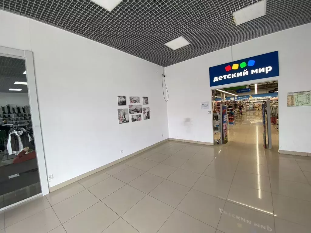 Помещение свободного назначения в Краснодарский край, Крымск Троицкая ... - Фото 2