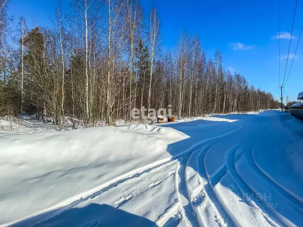 Участок в Ленинградская область, Всеволожский район, Морозовское ... - Фото 0