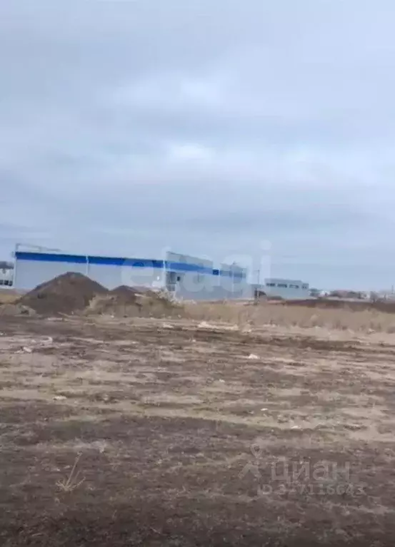 Участок в Ростовская область, Неклиновский район, с. Николаевка ул. ... - Фото 1