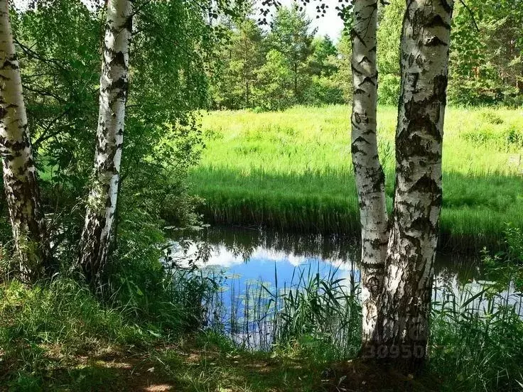 Коттедж в Московская область, Истра городской округ, д. Покровское, ... - Фото 1