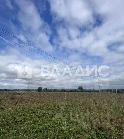 Участок в Владимирская область, Собинский муниципальный округ, Новое ... - Фото 2