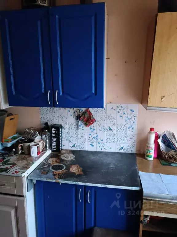 Комната Санкт-Петербург Светлановский просп., 52 (17.6 м) - Фото 2