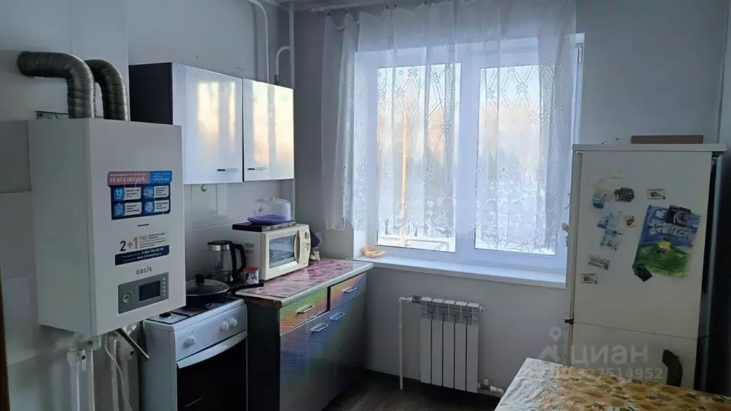 1-к кв. Омская область, с. Азово бул. Дружбы, 24 (36.8 м) - Фото 1