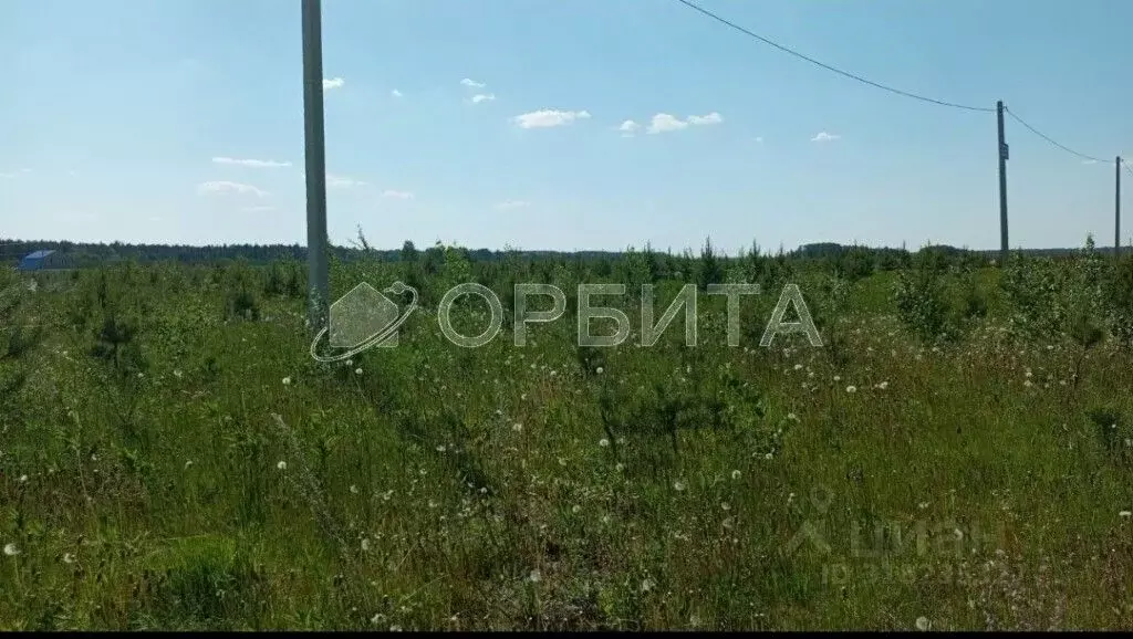 Участок в Свердловская область, Тугулым пгт пл. 50-летия Октября (15.6 ... - Фото 1