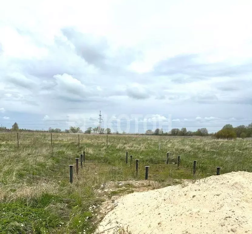 Участок в Ленинградская область, Тосненский район, Тельмановское ... - Фото 1