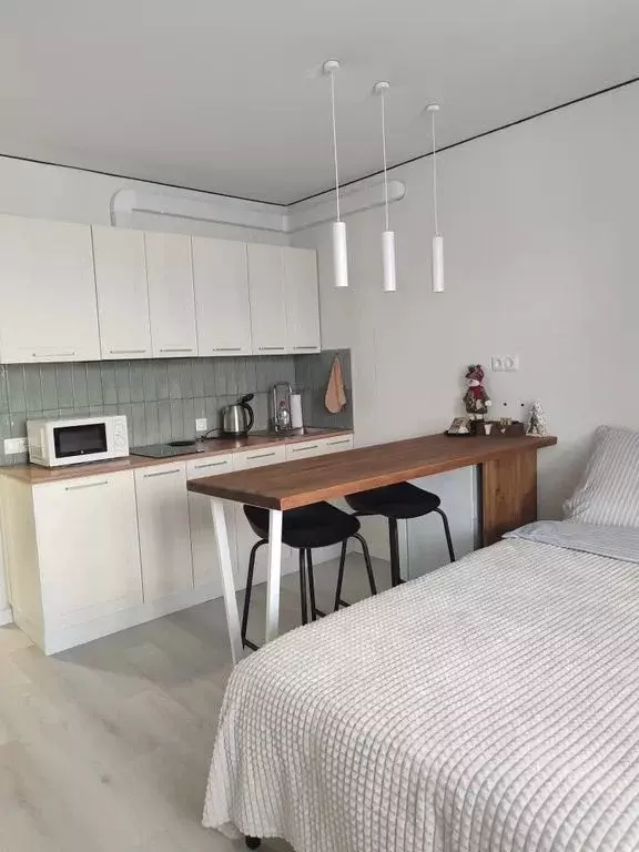 Студия Алтайский край, Новоалтайск ул. Анатолия, 90 (24.0 м) - Фото 1