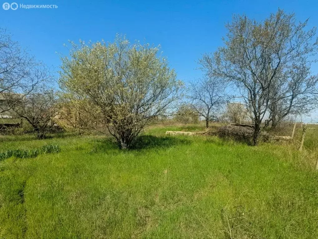 Участок в Трудовское сельское поселение, посёлок Айкаван, СПК ... - Фото 1