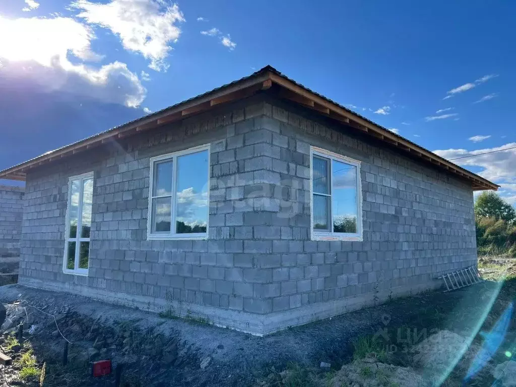 Дом в Хабаровский край, Хабаровский район, с. Сосновка  (95 м) - Фото 1