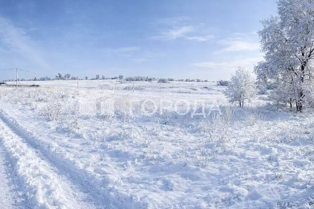 Участок в Кемеровская область, Новокузнецк ул. 1-я Ангарская (1424.0 ... - Фото 1