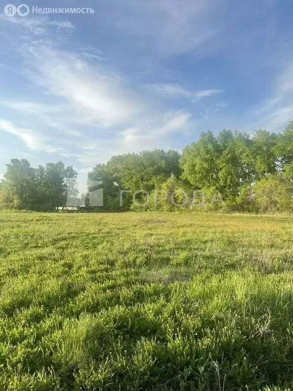 Участок в Новосибирский район, Морской сельсовет (5.4 м) - Фото 2