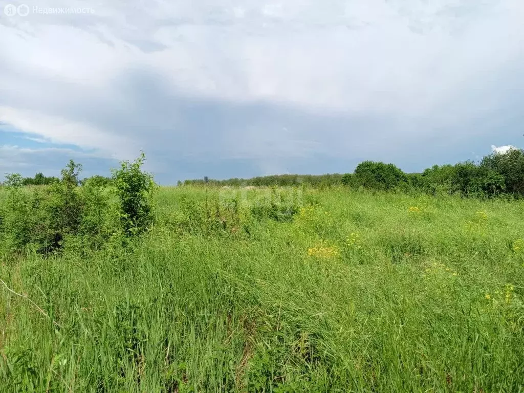 Участок в село Чернокоровское, Комсомольская улица (39.8 м) - Фото 0