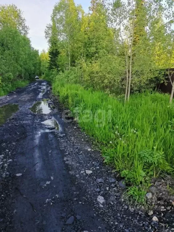 Участок в Кемеровская область, Мыски пос. Карчит, ул. Дружная (15.0 ... - Фото 0