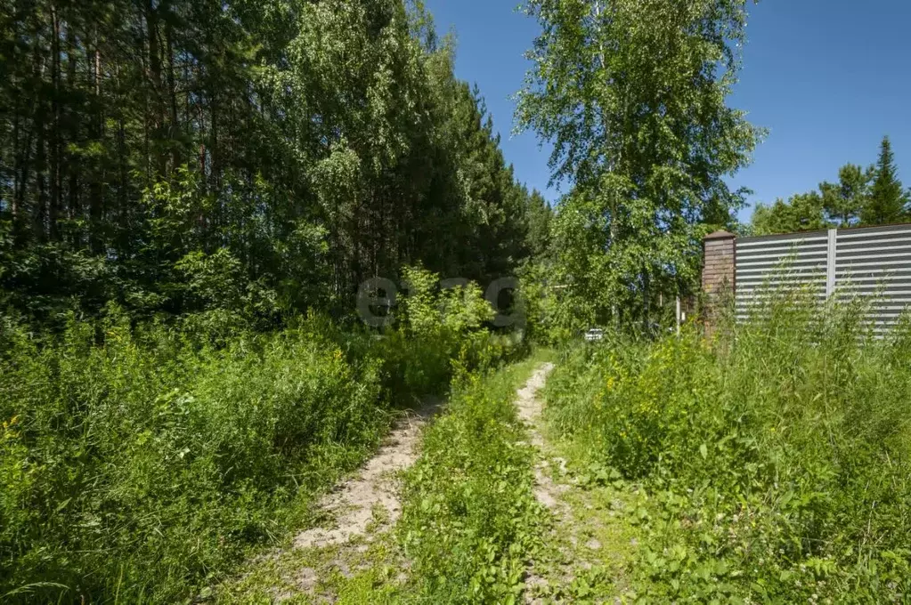 Участок в Новосибирская область, Новосибирск Малахитовая ул. (20.0 ... - Фото 1