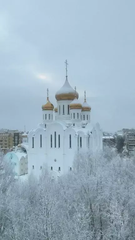 2-к кв. Коми, Сыктывкар ул. Кутузова, 13 (51.3 м) - Фото 1