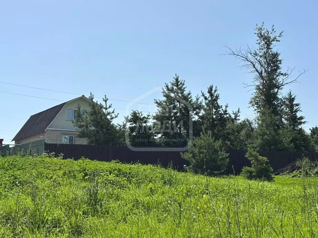 Участок в Рязанская область, Скопинский район, Успенское с/пос, с. ... - Фото 1